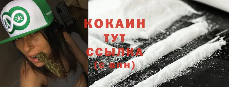 купить закладку  Карпинск  COCAIN FishScale 